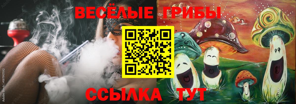 Псилоцибиновые грибы Cubensis  Псилоцибиновые грибы прущие грибы  Канск  Вход с VPN 