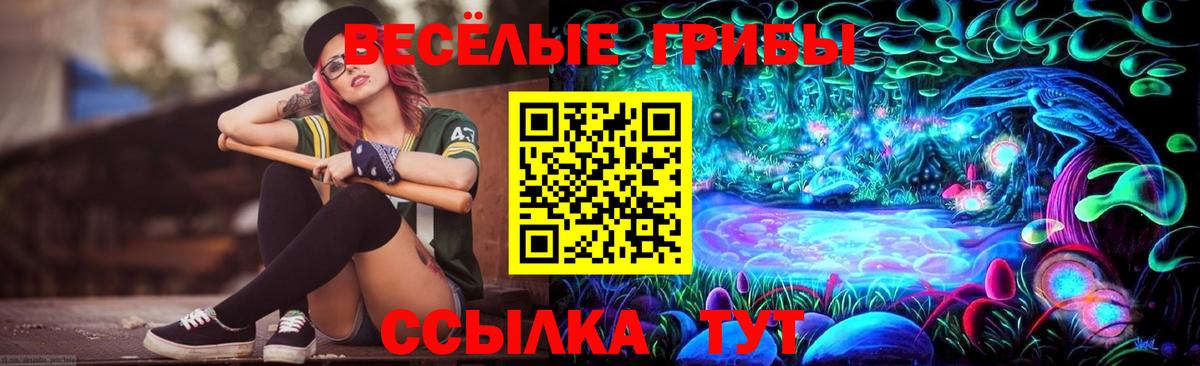 Галлюциногенные грибы Psilocybe Канск